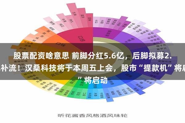 股票配资啥意思 前脚分红5.6亿，后脚拟募2.8亿补流！汉桑科技将于本周五上会，股市“提款机”将启动