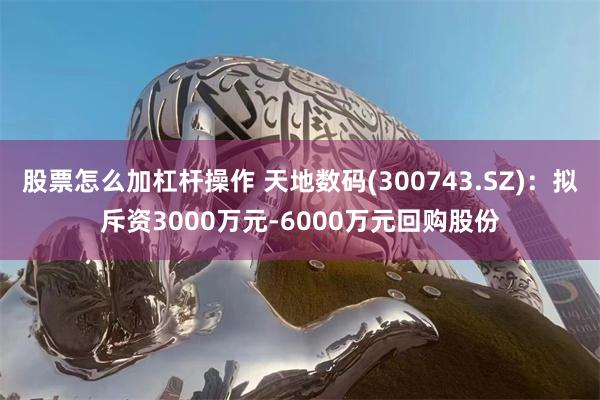 股票怎么加杠杆操作 天地数码(300743.SZ)：拟斥资3000万元-6000万元回购股份