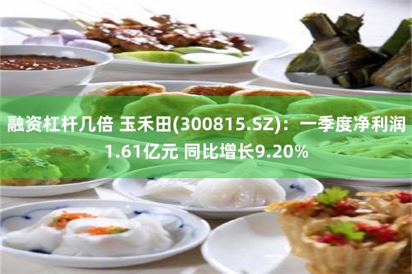 融资杠杆几倍 玉禾田(300815.SZ)：一季度净利润1.61亿元 同比增长9.20%