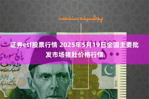 证券etf股票行情 2025年5月19日全国主要批发市场猪肚价格行情