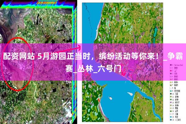 配资网站 5月游园正当时，缤纷活动等你来！_争霸赛_丛林_六号门