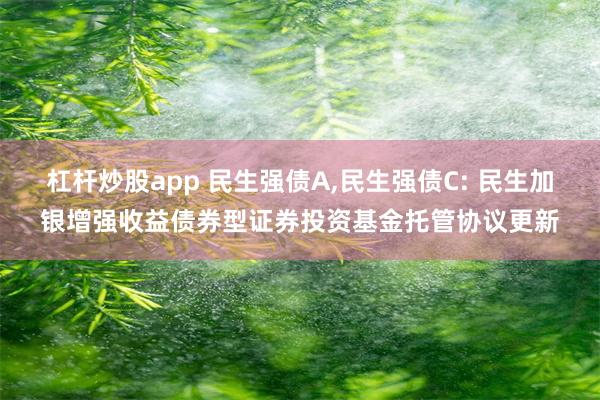 杠杆炒股app 民生强债A,民生强债C: 民生加银增强收益债券型证券投资基金托管协议更新
