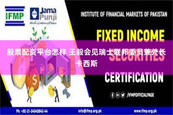 股票配资平台怎样 王毅会见瑞士联邦委员兼外长卡西斯