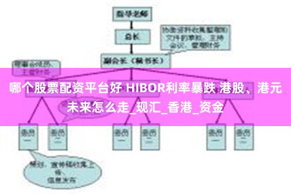 哪个股票配资平台好 HIBOR利率暴跌 港股、港元未来怎么走_现汇_香港_资金