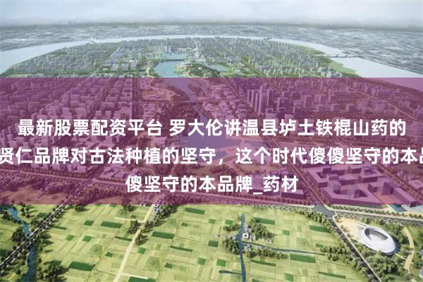 最新股票配资平台 罗大伦讲温县垆土铁棍山药的好处，温贤仁品牌对古法种植的坚守，这个时代傻傻坚守的本品牌_药材