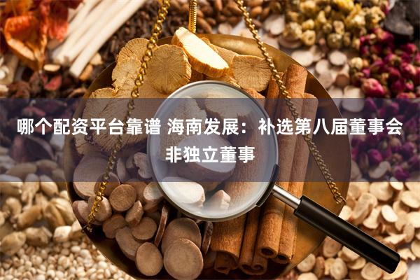 哪个配资平台靠谱 海南发展：补选第八届董事会非独立董事