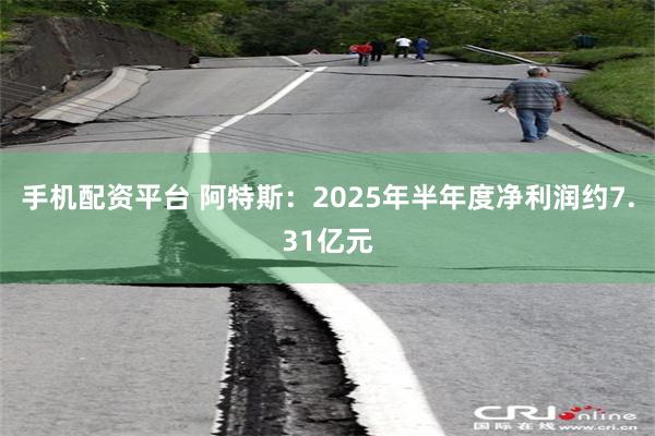 手机配资平台 阿特斯：2025年半年度净利润约7.31亿元