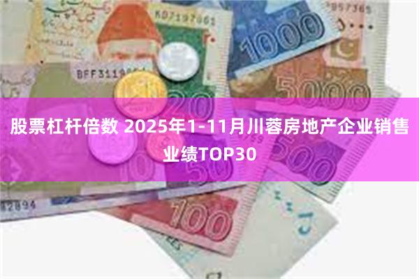股票杠杆倍数 2025年1-11月川蓉房地产企业销售业绩TOP30
