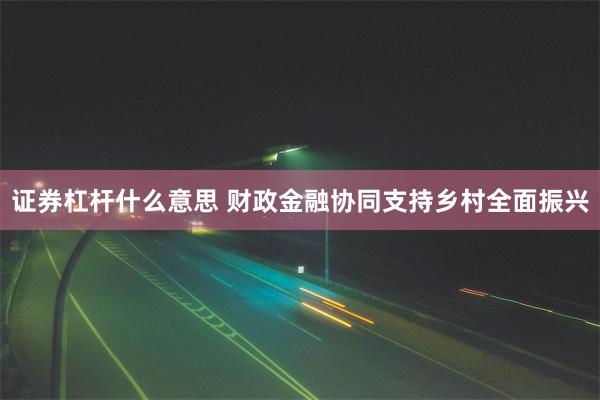 证券杠杆什么意思 财政金融协同支持乡村全面振兴